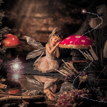 Enchanted Fairy & Elf Photoshoot