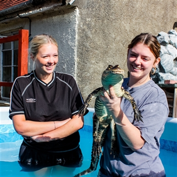 Swim with the Crocodiles for Two