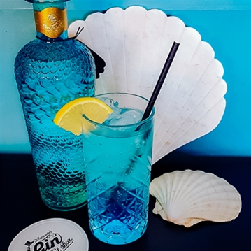 Dr Hardwicke's Gin Emporium Tasting for Two