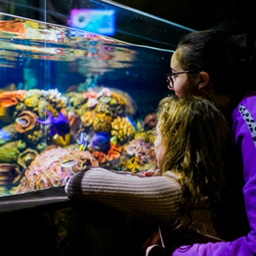 One Day Entrance to Chessington World of Adventures Resort for Two