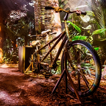 Entrance to The Paddington Bear™ Experience & Lunch