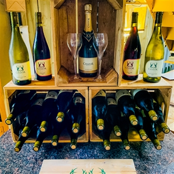 Vineyard Tour and Tasting at Chafor Wine Estate