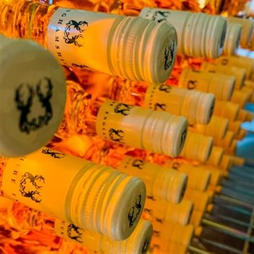 Vineyard Tour and Tasting at Chafor Wine Estate