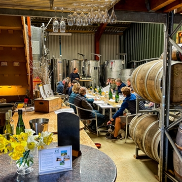 Vineyard Tour and Tasting at Chafor Wine Estate