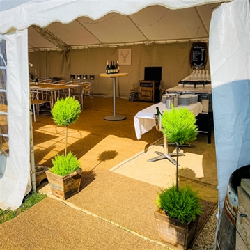 Vineyard Tour and Tasting at Chafor Wine Estate