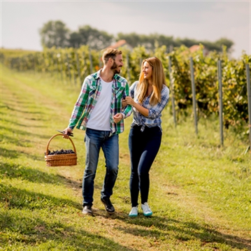 Hand-Picked Guided Tours