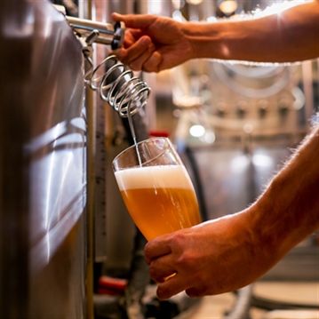 Hand-Picked Guided Tours