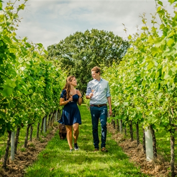 Gusbourne Estate Sparkling Wine Tasting for 2