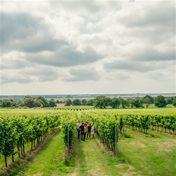 Gusbourne Estate Sparkling Wine Tasting for 2