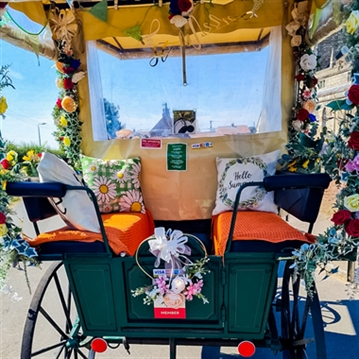 Horse Drawn Carriage Ride with Cream Tea for Four