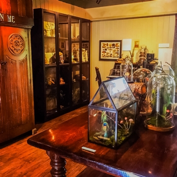 Magical Fairy Garden & Afternoon Tea Experience for Two