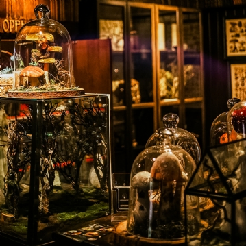 Magical Fairy Garden & Afternoon Tea Experience for Two