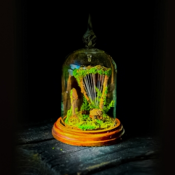 Magical Fairy Garden & Afternoon Tea Experience for Two