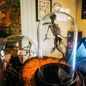 Magical Fairy Garden & Afternoon Tea Experience for Two