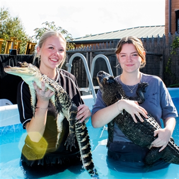 Swimming with Crocodiles for a Family of Four