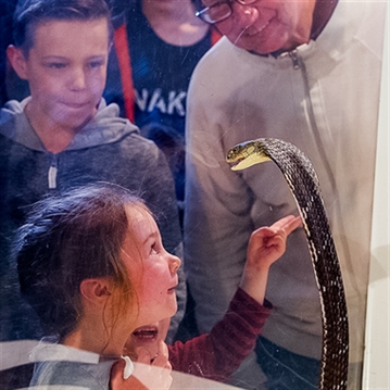 Venomous Snake Show