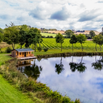 Tour & Pizza for Two at Wildshark Vineyard