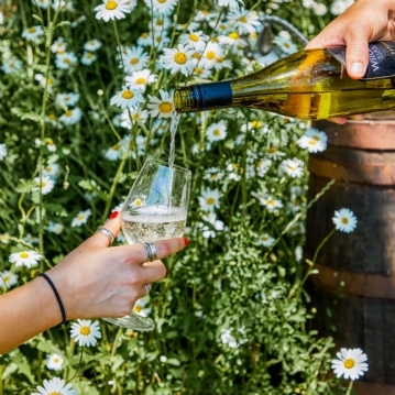 Tour & Pizza for Two at Wildshark Vineyard