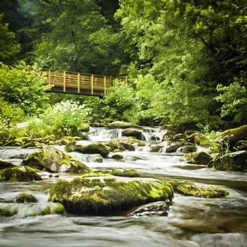 National Parks & Coastal Breaks