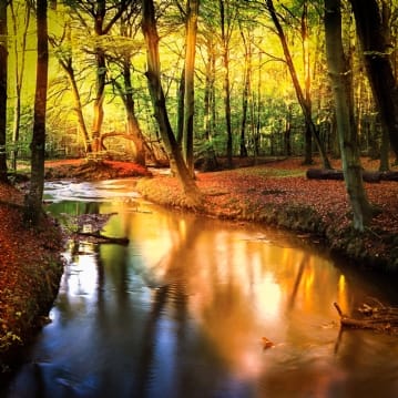 National Parks & Coastal Breaks