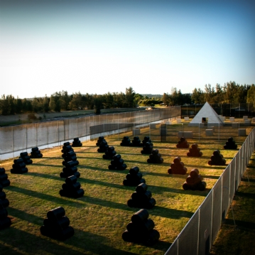 Group Paintball Entrance For Eight