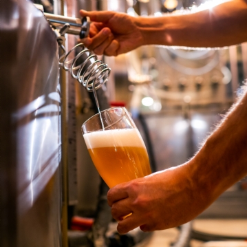 Winery and Brewery Tour with Tasting for Two