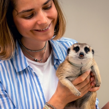 Meerkat Encounter Experience for Two