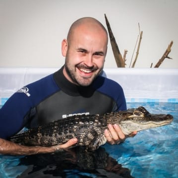 Swimming with the Crocodiles for Two 
