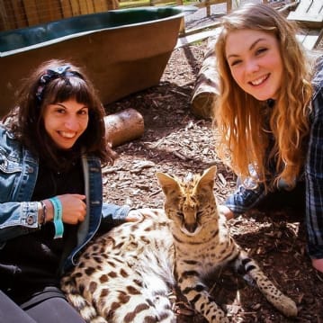 Meet the Meerkats, Servals and Lemurs at Hoo Farm for Two