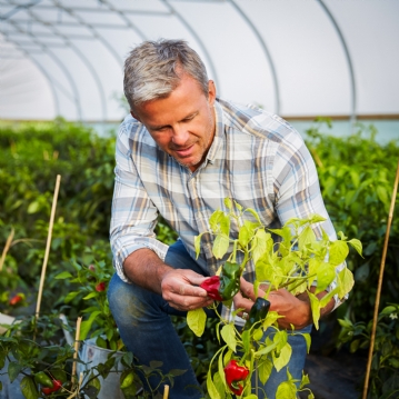 Chilli Tasting Experience For Two
