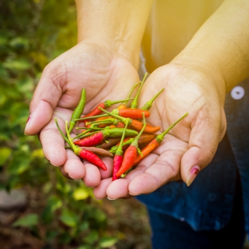 Chilli Tasting Experience For Two