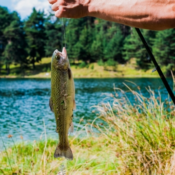 Fly Fishing