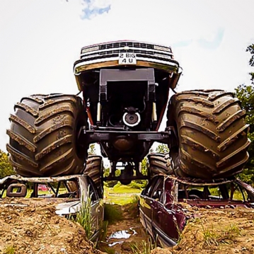 American Monster Truck