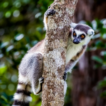 Family Entrance to Dudley Zoo