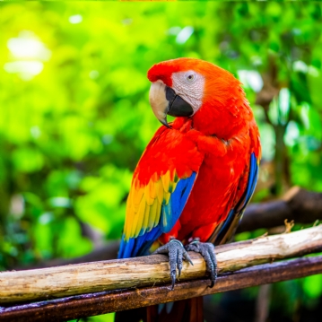 Family Entrance to Dudley Zoo