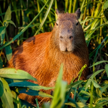 Family Entrance to Dudley Zoo