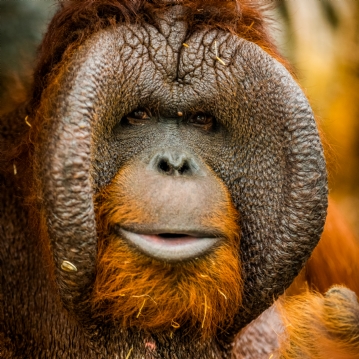 Family Entrance to Dudley Zoo