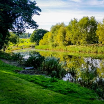 Champagne Afternoon Tea for Two at The Haughton Hall Hotel