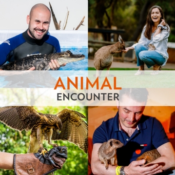 Animal Encounter
