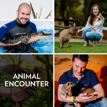 Animal Encounter