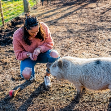 Animal Encounter