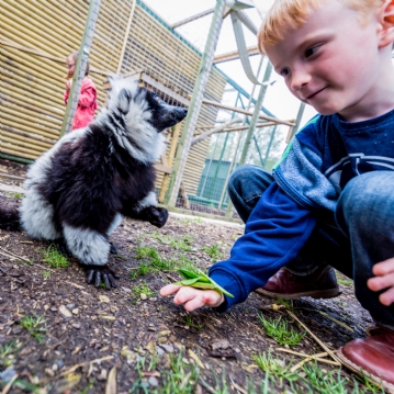 Animal Encounter