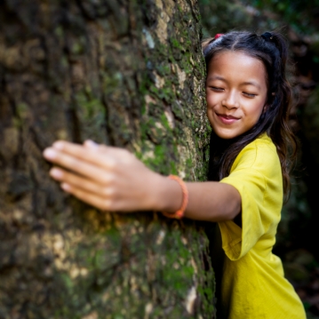 Two Night Family Tree House Escape