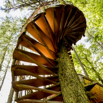 Two Night Family Tree House Escape