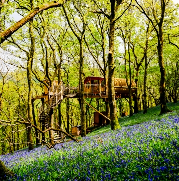 Two Night Family Tree House Escape