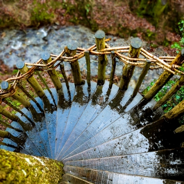 Two Night Family Tree House Escape