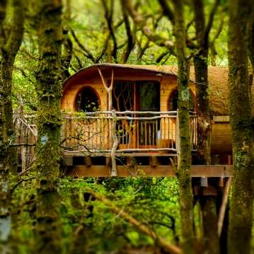 Two Night Family Tree House Escape