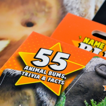 Name That Bumhole Game