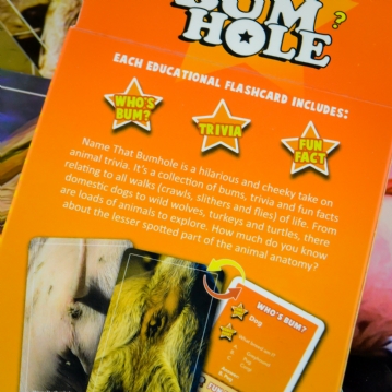 Name That Bumhole Game