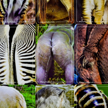 Name That Bumhole Game